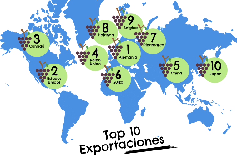 importadores exportaciones