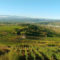 enoturista bierzo