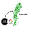 Suecia vino Bierzo
